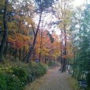 맑은물펜션 이미지