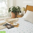 삼진세탁 이미지