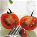 토마토잡 네이버블로그