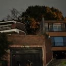 부사노바 이미지