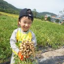 덕수농원 이미지