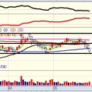 에스티네트웍스 이미지