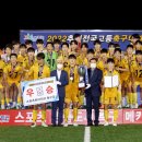 군민체육공원 인조1구장 이미지