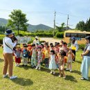 동림북구 어린이집 이미지