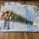 송현 농장 이미지