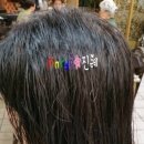 진례미용실 이미지