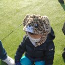 불암산더불어숲 이미지