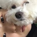 작은도쿄 - 용산구 원효로90길 11 | 작은도쿄