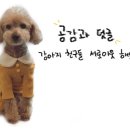 페이보리잇 이미지