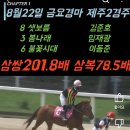 양일로2R 이미지