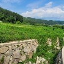 양지저수지 이미지