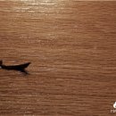 디자인바다광고 이미지