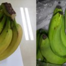 진원유통 이미지