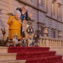 프린스펫 이미지