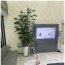 미소아이치과의원 이미지