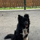 해맑은2농장 이미지