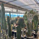 다현농장 이미지