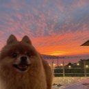 별그리고남해 이미지