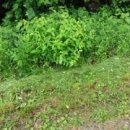 주식회사 경남무역 이미지