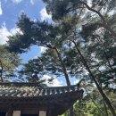 영월 1박2일 서부시장주차 서부순대국 청령포 내돈내산 솔직후기