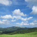 초원의 언덕 이미지