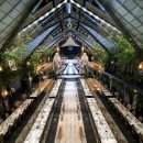 글라스하우스 위드 렌즈미 미사점 | [결혼 준비] 결혼식 웨딩 베뉴 정하기 ㅡ 서초동 성당 혼배 성사 후기