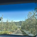 가로등제어 | [충북 숙소] 청풍을 담다 자작나무방 내돈내산 솔직후기