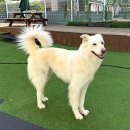 프로네앞마당 이미지