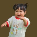 팜투테이블118