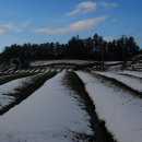 대흘리에 이미지