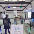 805 | 대구 공항 제주 공항 탑승 수속 국내선 티웨이 TW805