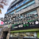예닮약국 네이버블로그