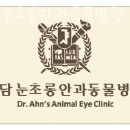 청담눈초롱안과동물병원 이미지