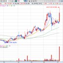 엘153인베스트먼트
