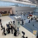 터미널 | 하네다공항 2터미널 이용 후기 ANA 탑승, 면세구역, 스타벅스 총정리