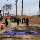 드림아일랜드골프장 이미지