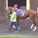 부경목장 이미지