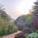 오도산 자연휴양림 이미지