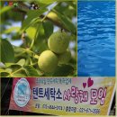 우영세탁소 이미지