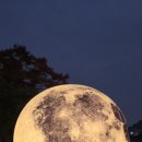 수원-1794 이미지