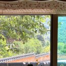 바보언니2