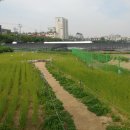 수주농장 이미지