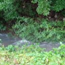 다시 봄 이미지