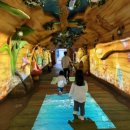 곤충연구소 실내 이미지