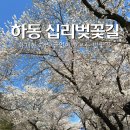 4월5일(토)지리산 서산대사길@ 벛꽃 십리길 이미지