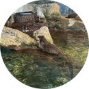 ㈜경포아쿠아리움 | 강릉 바다 좋아하는 아기랑 경포 아쿠아리움 찐 후기(주차,먹이시간,순두부식당)