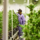 제이지그룹 이미지