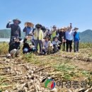 용산면 행정복지센터 이미지