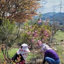 칠원농장 이미지