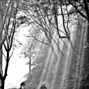 베스트목장 이미지